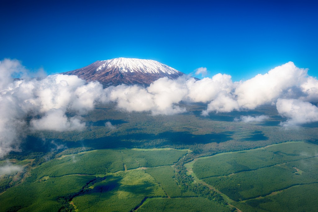 Kilimanjaro